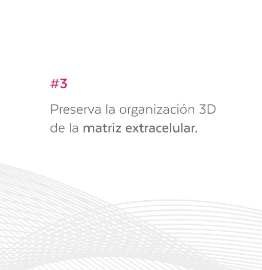 Renova Defense 60ml - Image 2