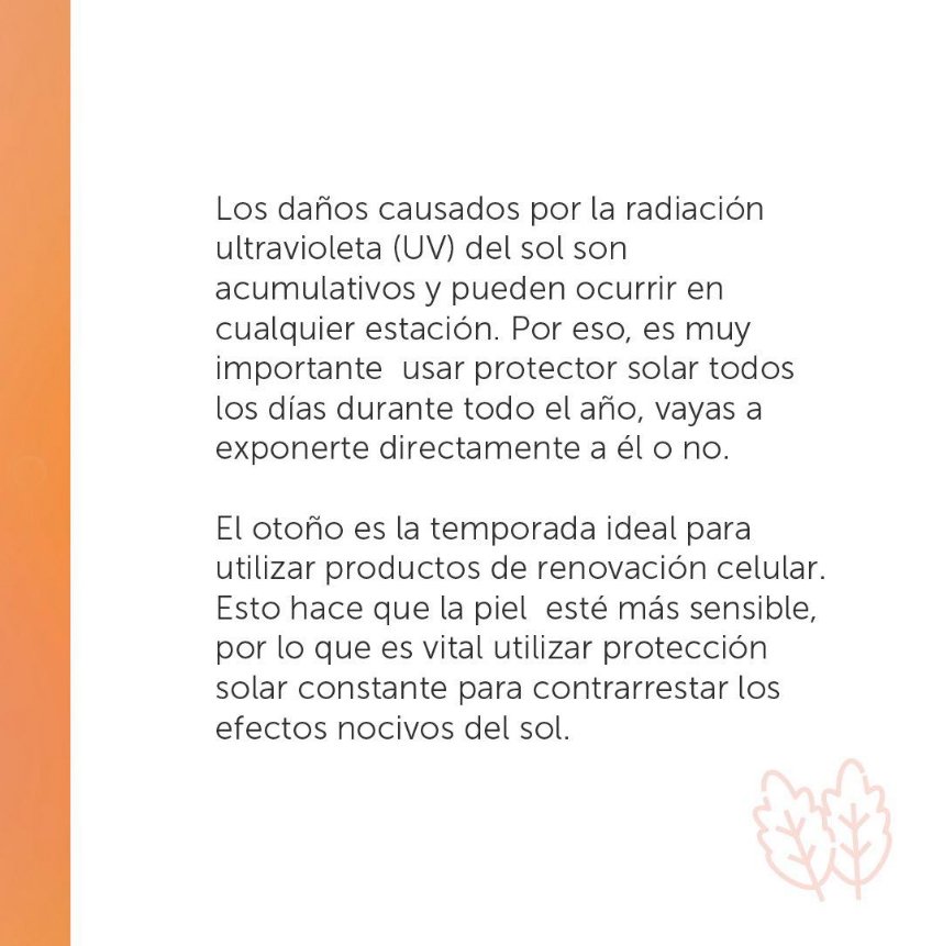 Emulsion Protectora FPS 60 con color 70gr - Image 4